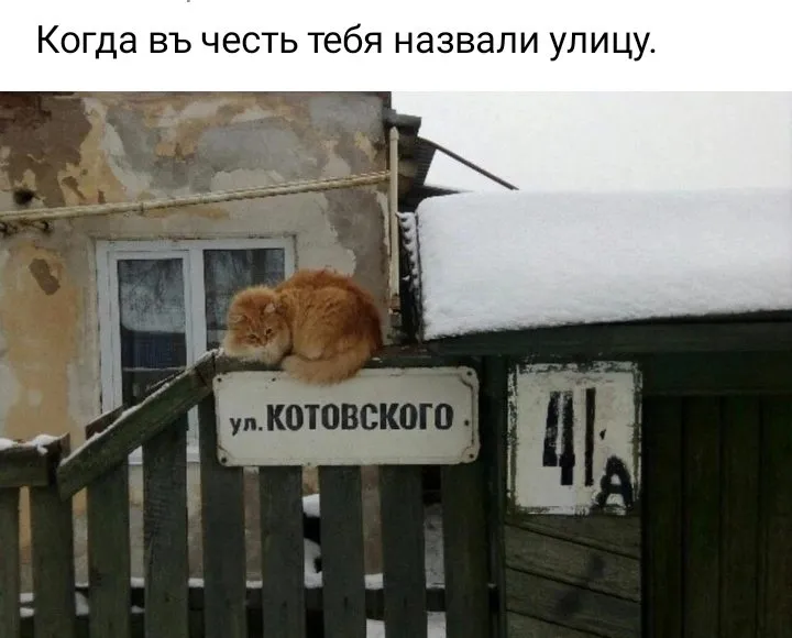 Посмеялся сам - поделись с другом!!!