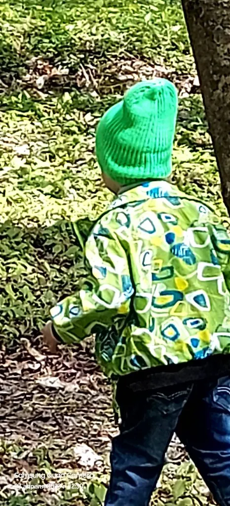 Чайная беседка