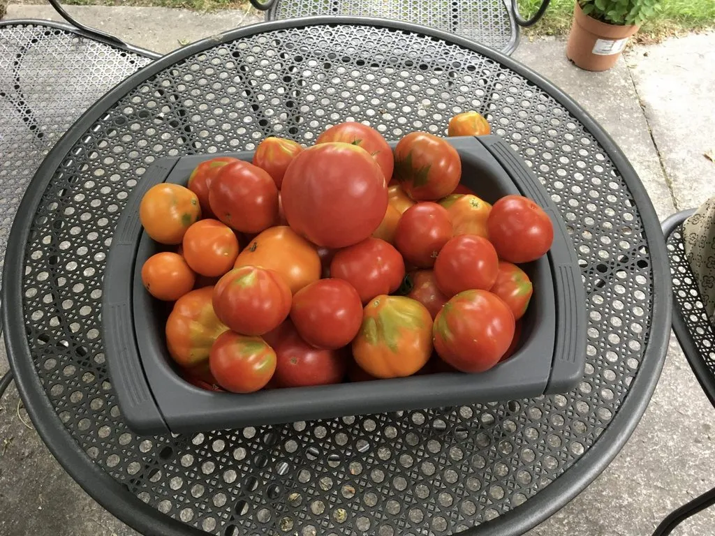 Чайная беседка