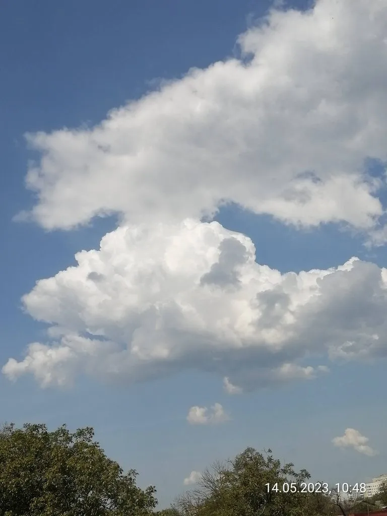 Чайная беседка