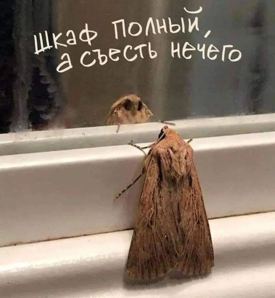 Посмеялся сам - поделись с другом!!!