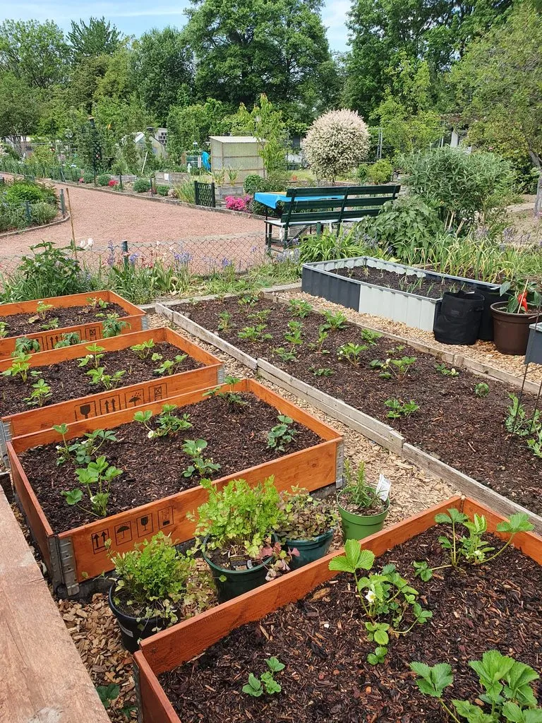 Вопросы к проживающим в местах назначения возможных моих путешествий