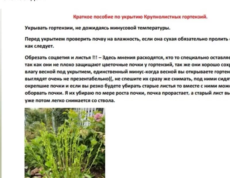 Загородная жизнь - обустройство на своей земле во всем ее разнообразии
