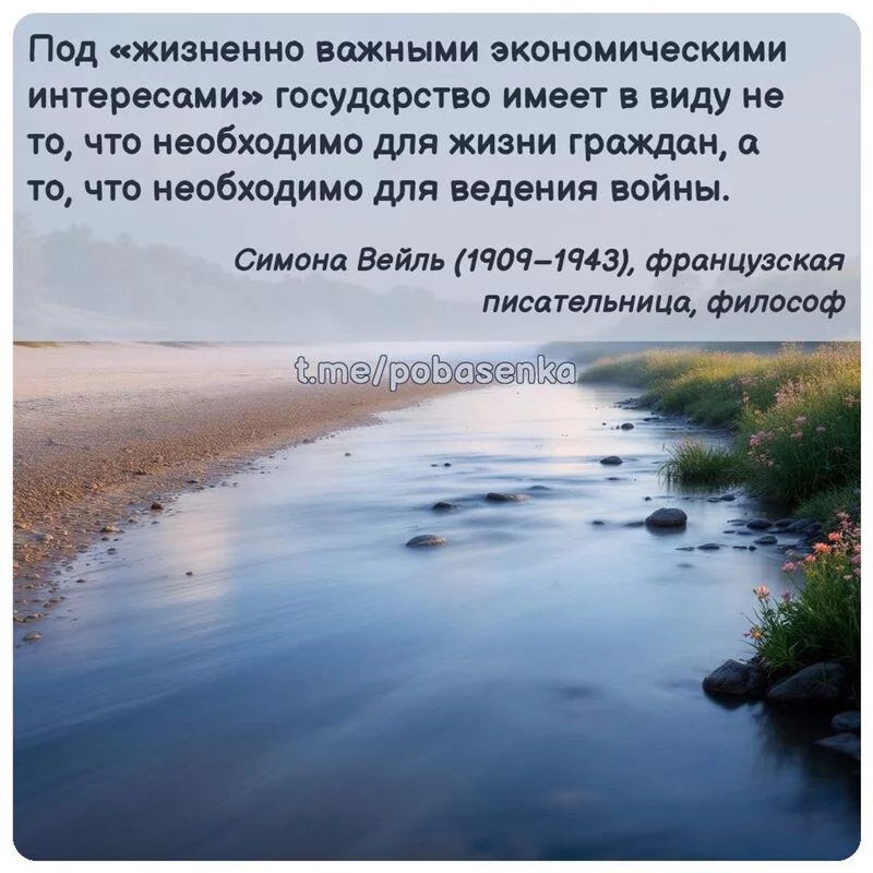 «Под жизненно важными экономическими интересами государство имеет в виду не то, что необходимо для жизни граждан, а то, что...» height="550" width="550"