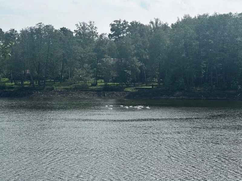 Чайная беседка