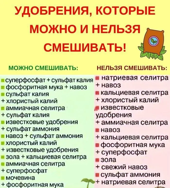 Сажаем, растим, собираем урожай…