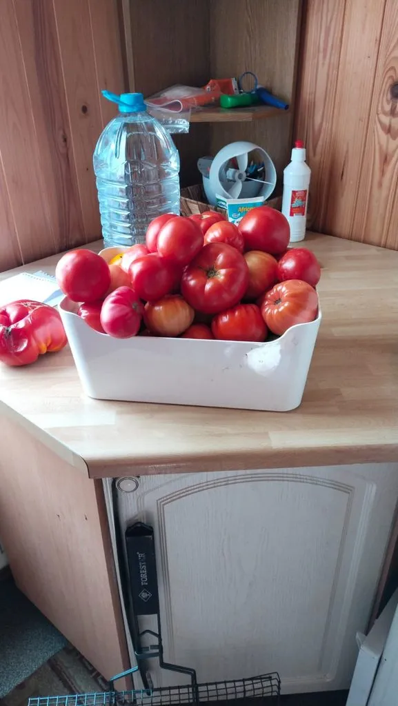 Чайная беседка