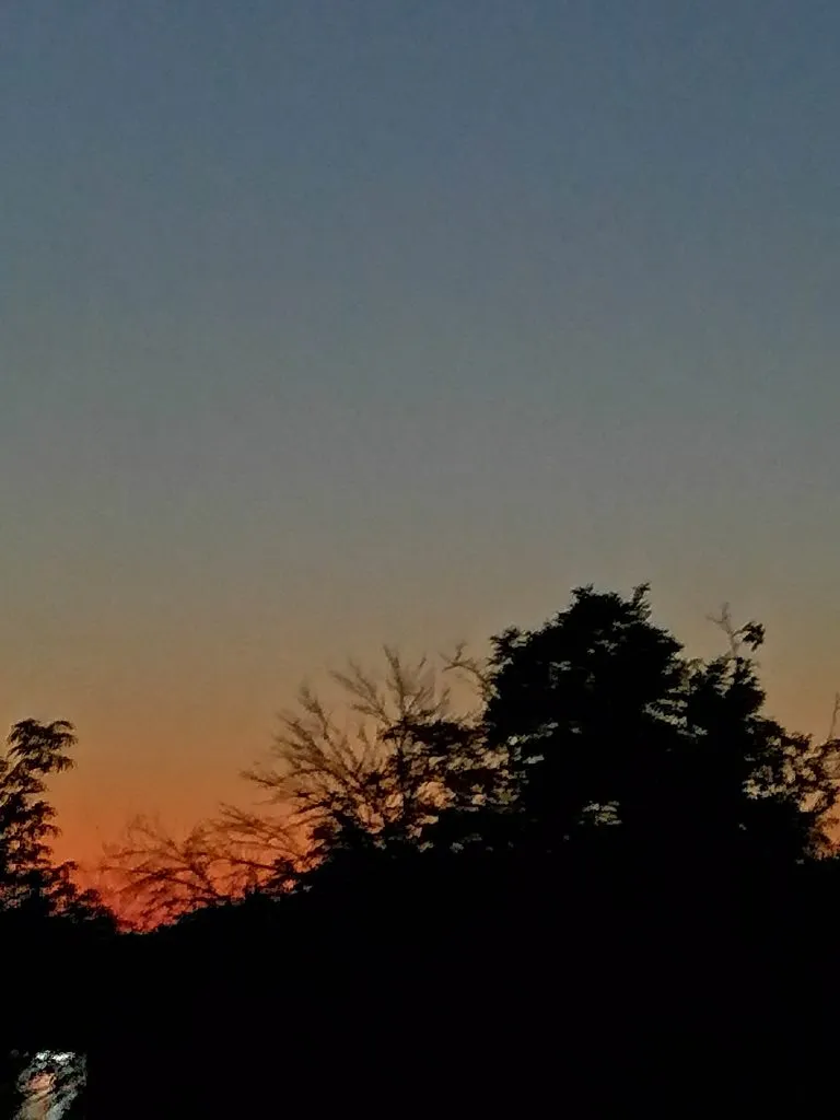 Чайная беседка