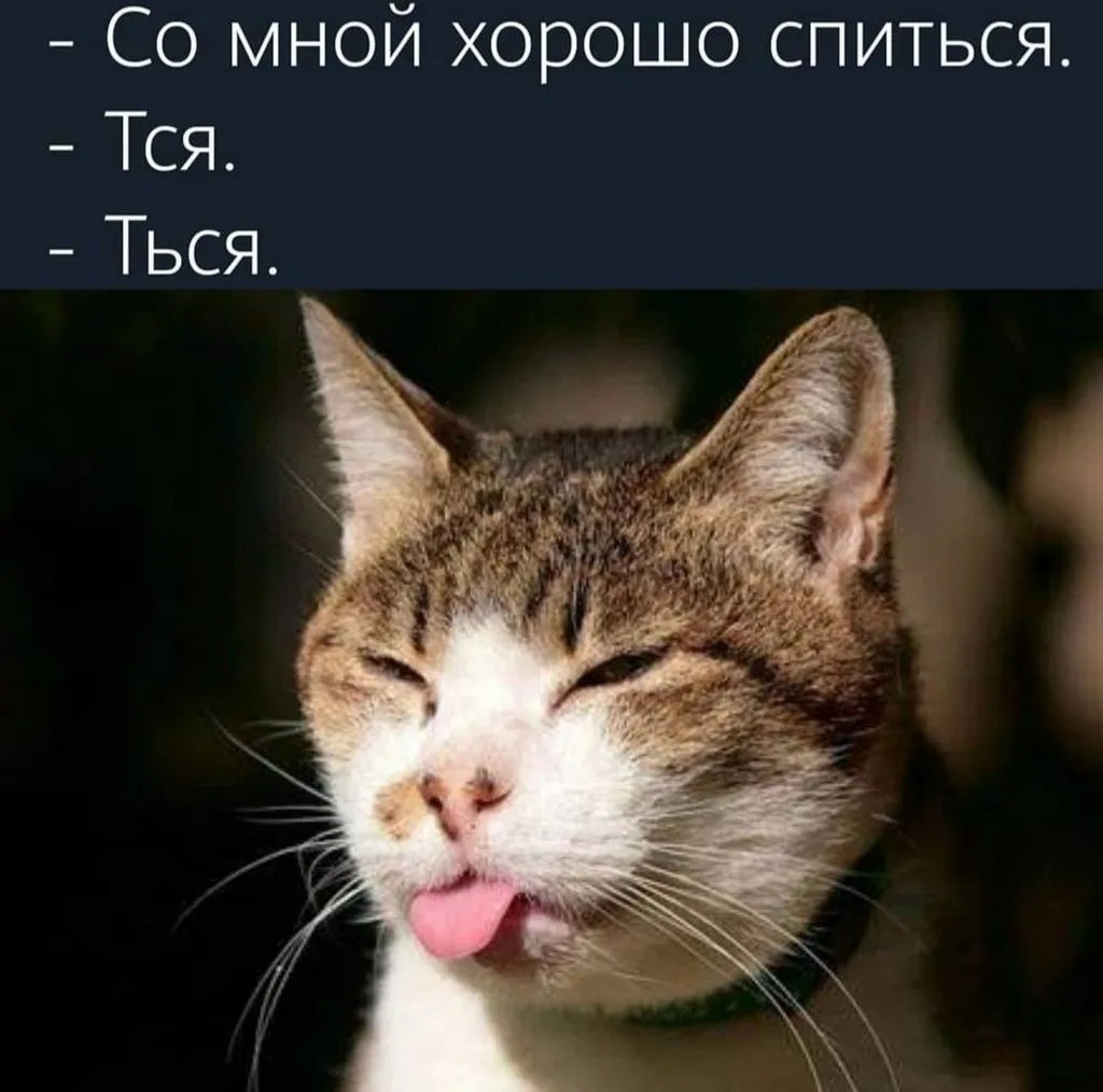 Русский язык