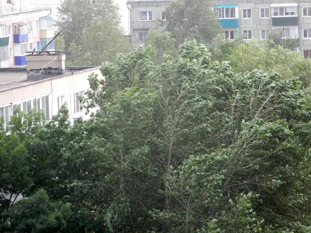 Чайная беседка