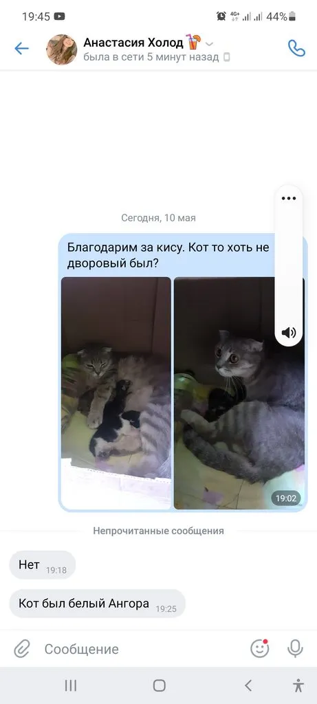 Tapтaлeтки & Ко