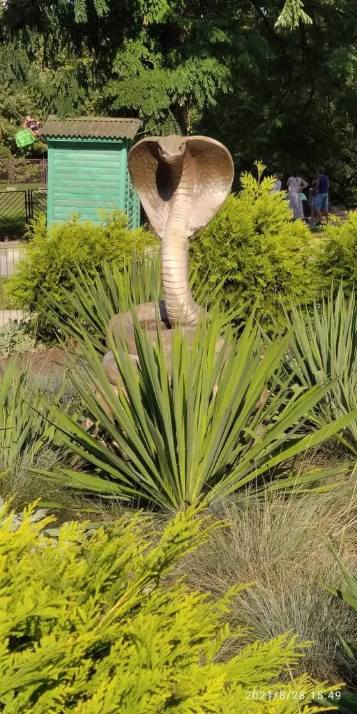 Tapтaлeтки & Ко