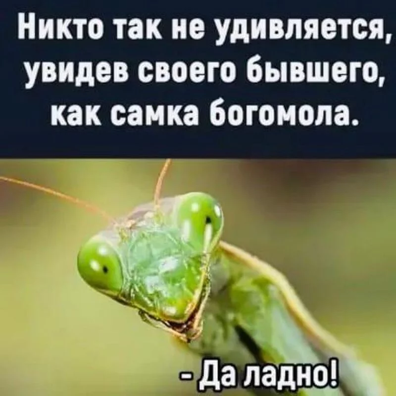 Посмеялся сам - поделись с другом!!!