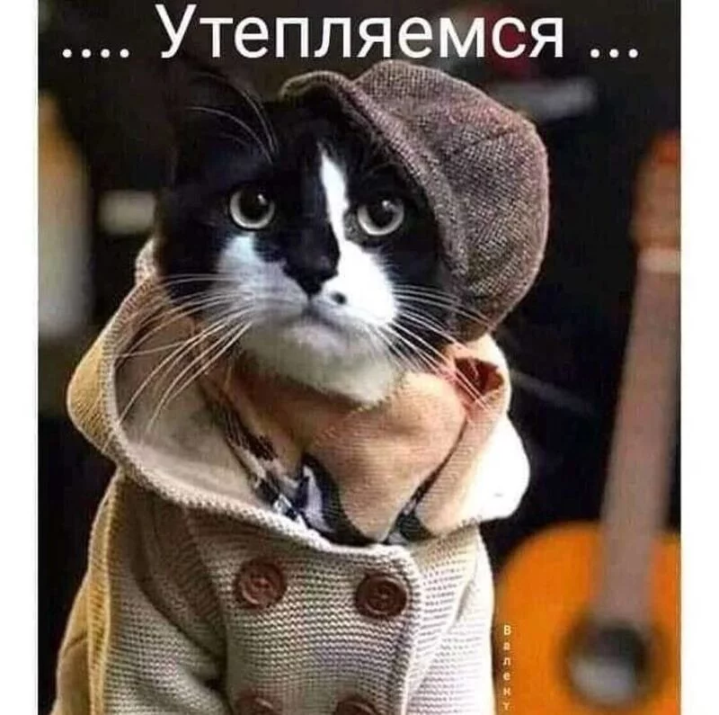 Позитивчик (фото, видео, рассказы для хорошего настроения)