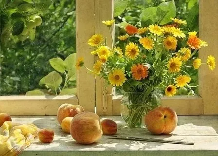 Кафе "У пани Сони"