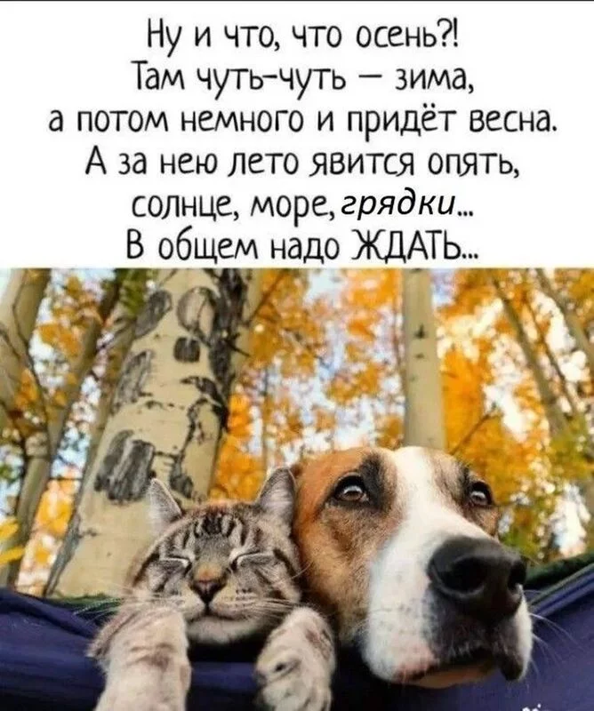 Позитивчик (фото, видео, рассказы для хорошего настроения)