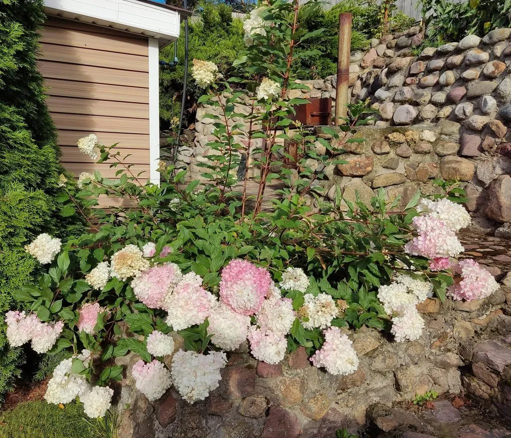 Чайная беседка