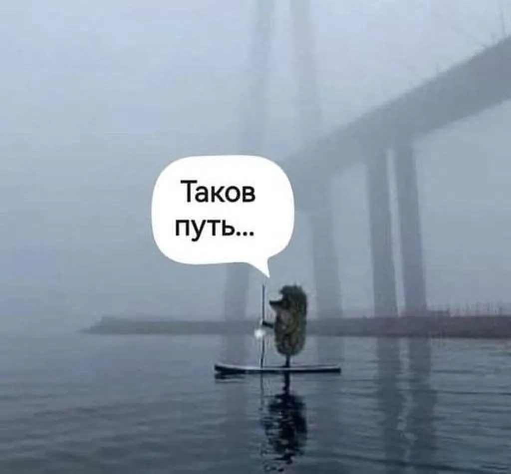 Лаконичная мудрость