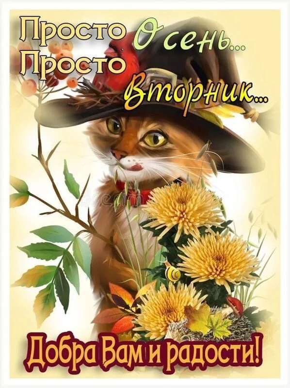 Кафе "У пани Сони"