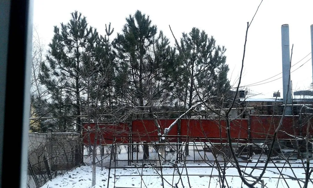 Чайная беседка