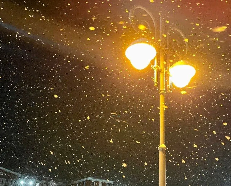 Такое разное небо