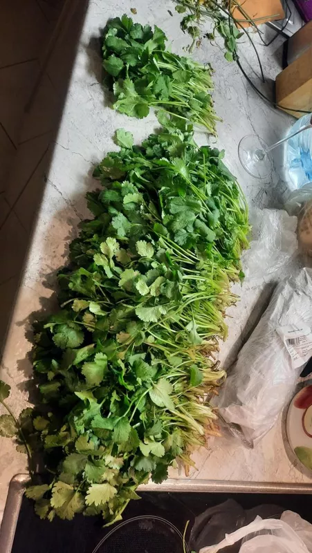 Где, что и когда купить в Москве