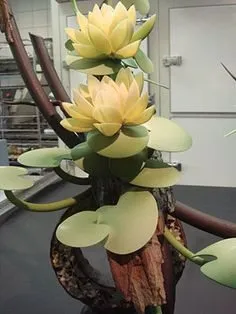 Tapтaлeтки & Ко