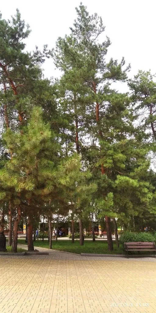 Tapтaлeтки & Ко