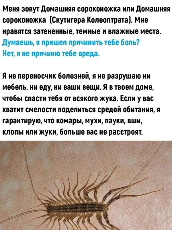 Это интересно!