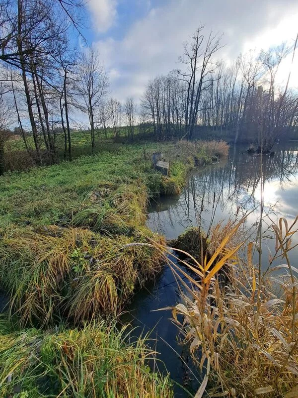 Чайная беседка