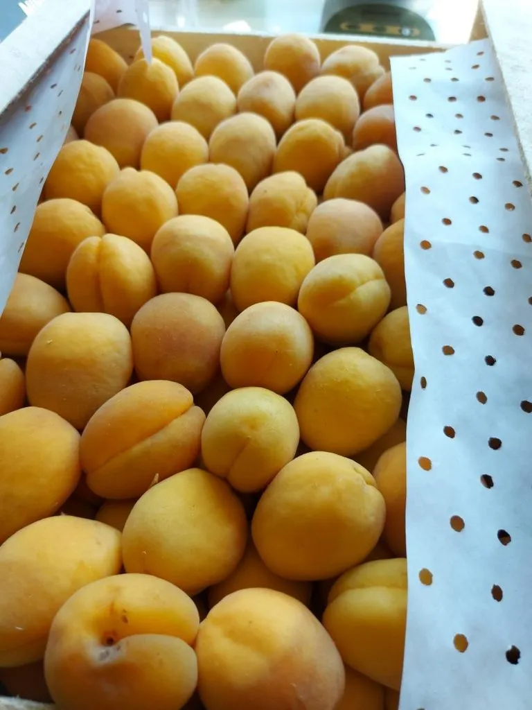 Фуд Сити в Москве