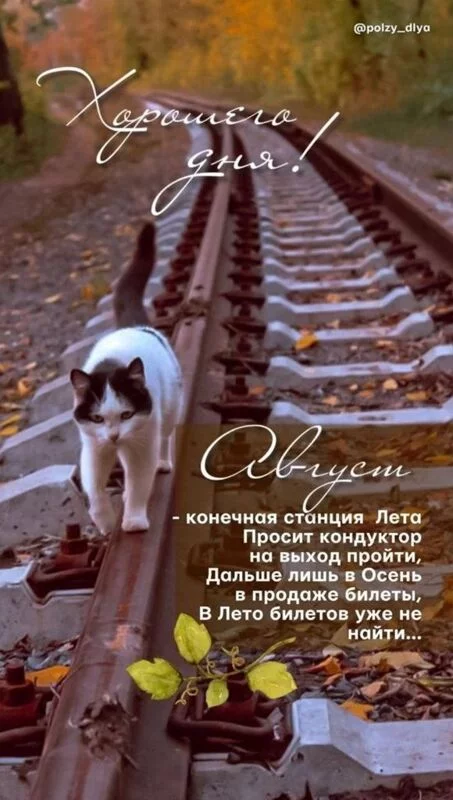 Кафе "У пани Сони"