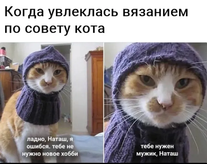 Кошичкина полиция