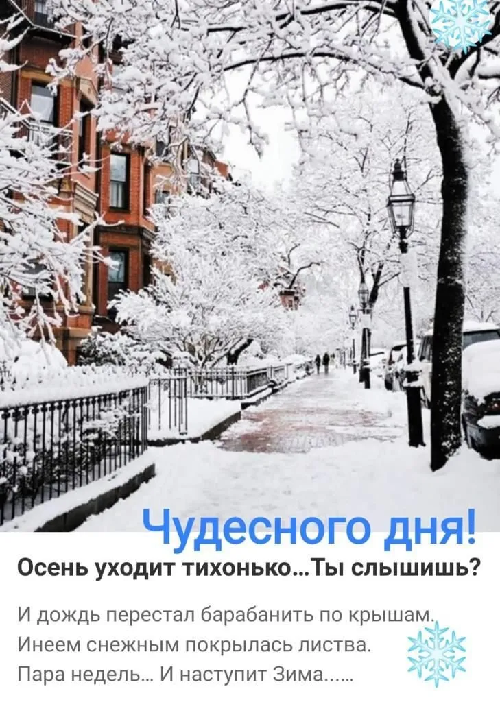 Tapтaлeтки & Ко