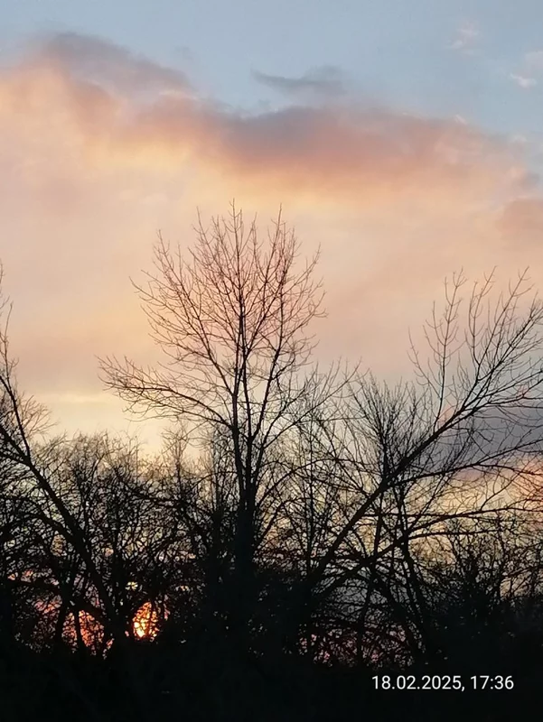 Такое разное небо