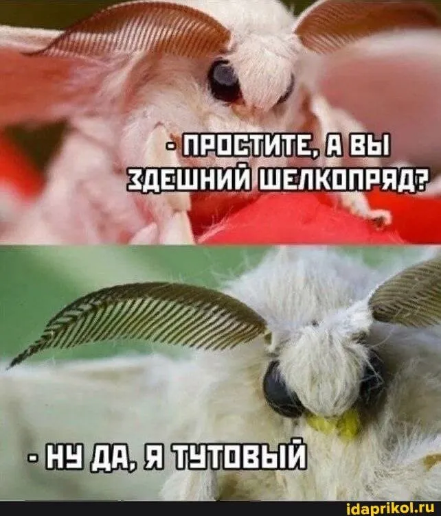 Посмеялся сам - поделись с другом!!!
