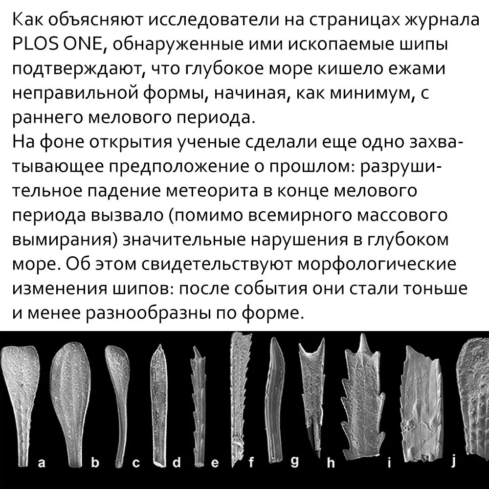 Это интересно!