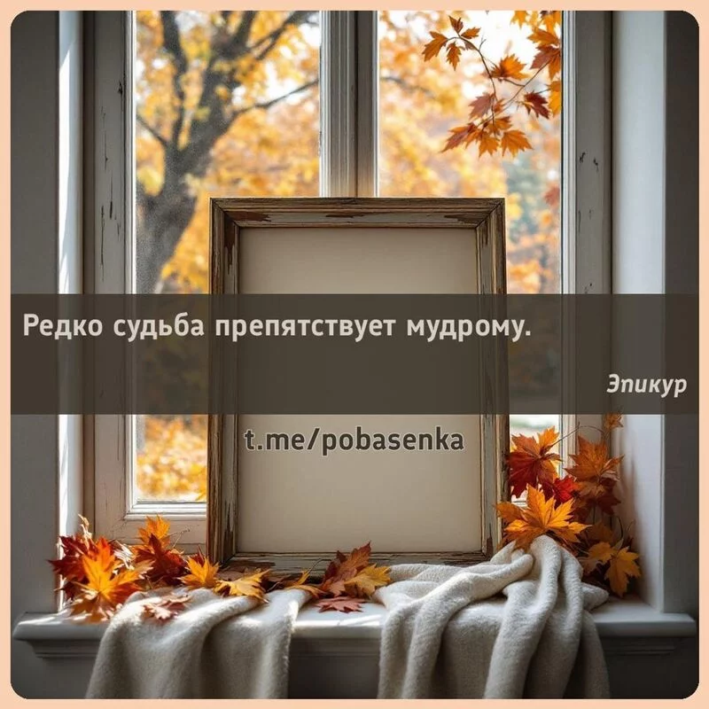 «Редко судьба препятствует...» height="550" width="550"