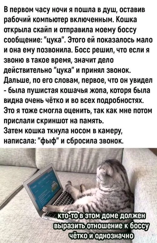 Посмеялся сам - поделись с другом!!!