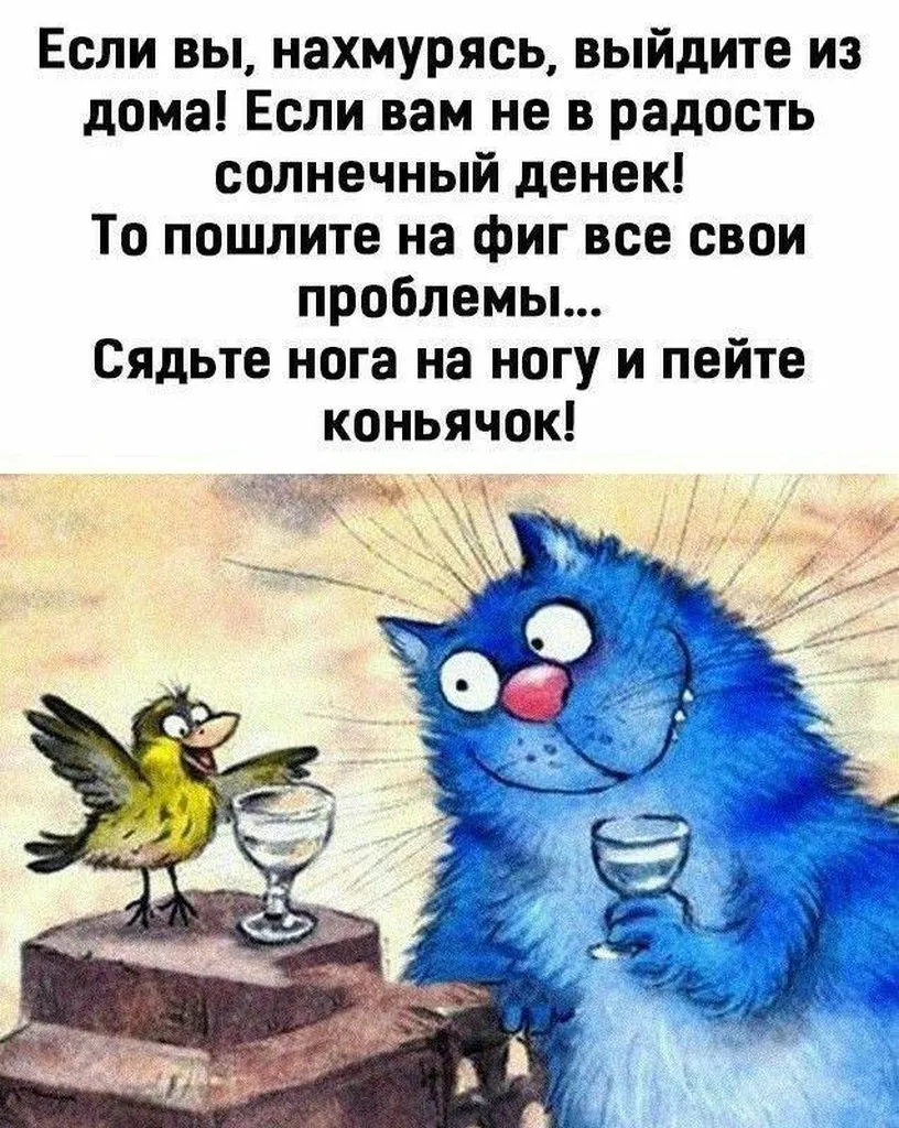 Позитивчик (фото, видео, рассказы для хорошего настроения)