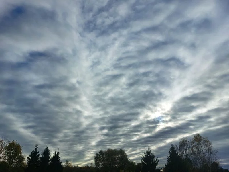 Такое разное небо