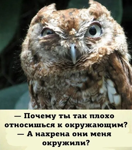 Посмеялся сам - поделись с другом!!!