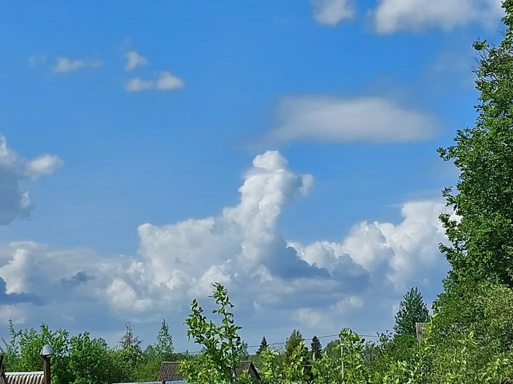 Такое разное небо