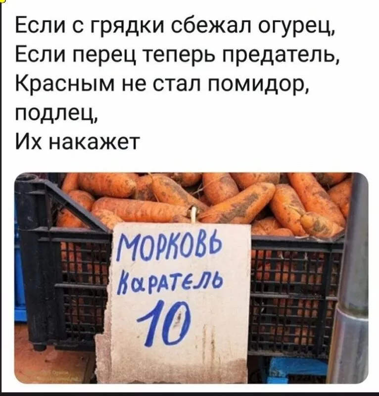 Всюду рифмы