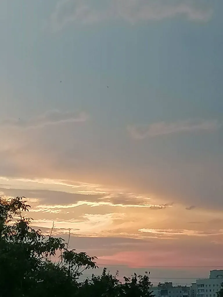 Чайная беседка