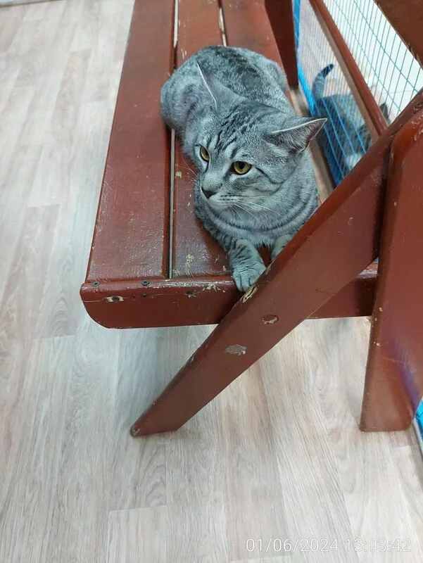 Чайная беседка