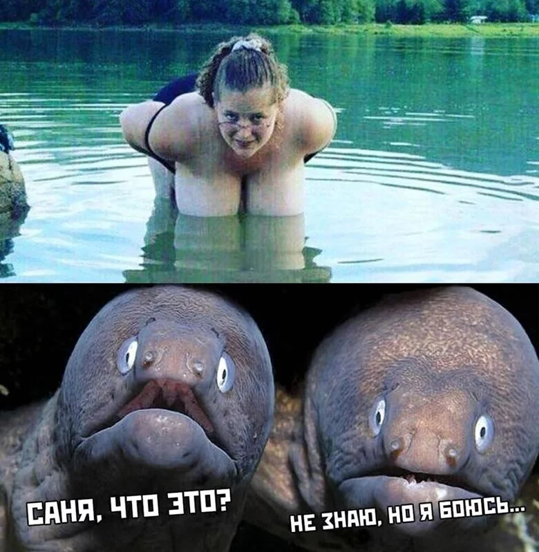 Посмеялся сам - поделись с другом!!!