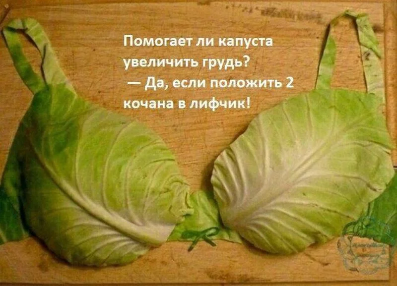 Посмеялся сам - поделись с другом!!!