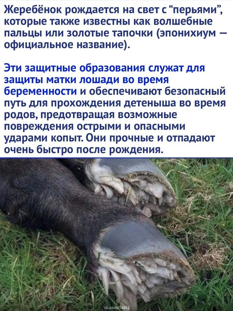Это интересно!