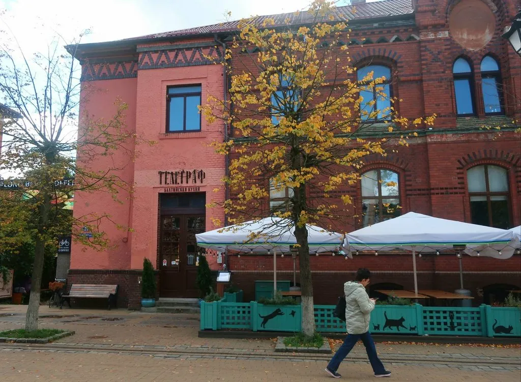 И снова, через год, встречай, Калининград!